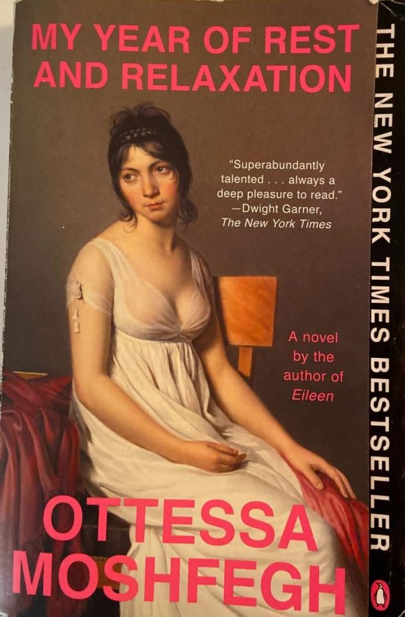 My year of rest and relaxation: Ottessa Moshfegh’s least restful and relaxing read
