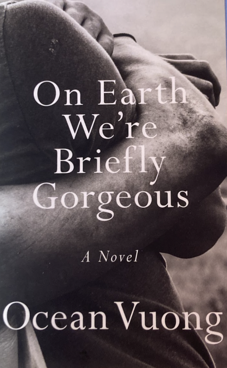 On Earth We’re Briefly Gorgeous: A letter that will never be received